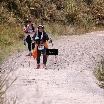 Runner Photo 5349167