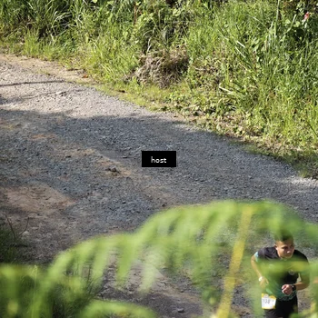 Runner Photo 5349233