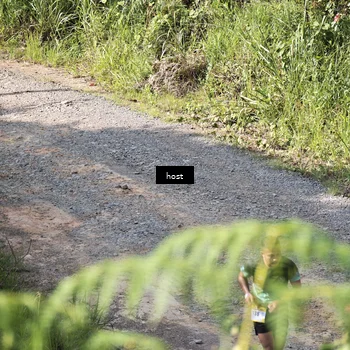 Runner Photo 5349241