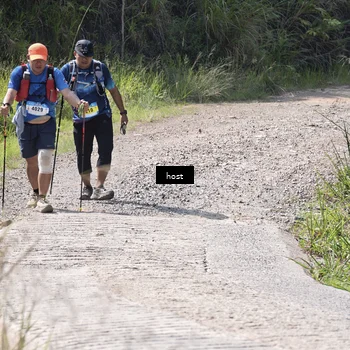 Runner Photo 5349249
