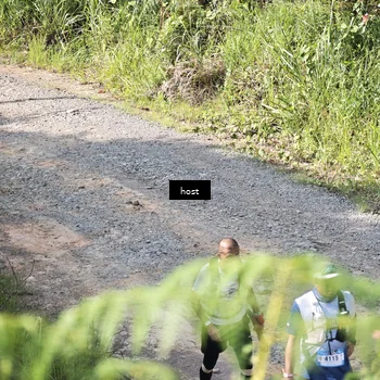 Runner Photo 5349384