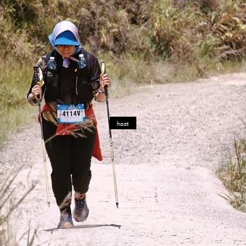 Runner Photo 5349744