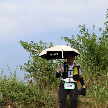 Runner Photo 5349817