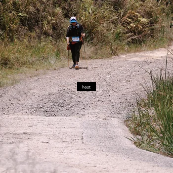 Runner Photo 5349928
