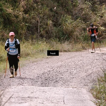 Runner Photo 5350241
