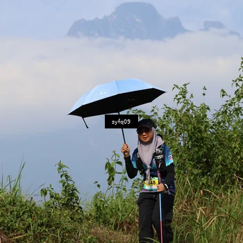 Runner Photo 5350302