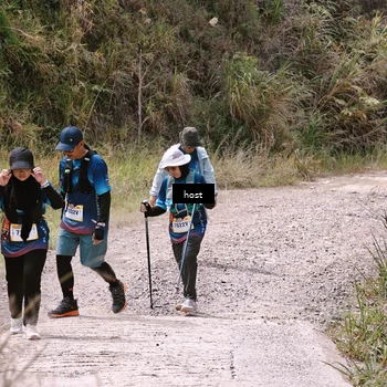 Runner Photo 5350603