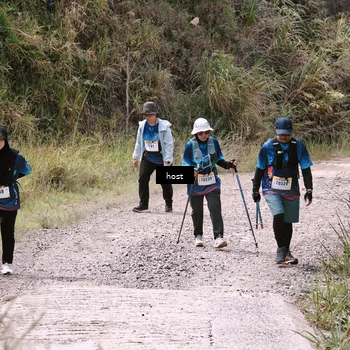Runner Photo 5350611