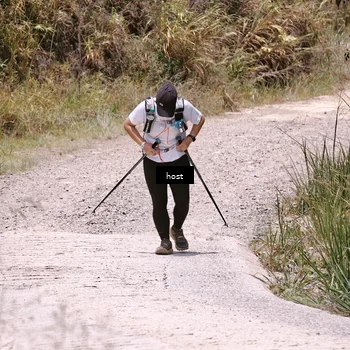 Runner Photo 5351059