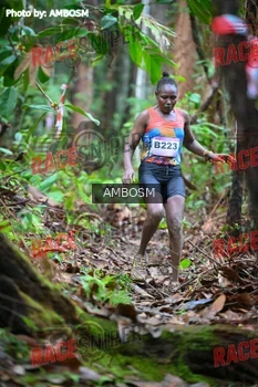 Runner Photo 535155
