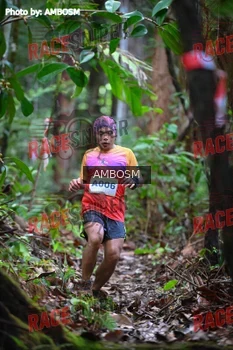 Runner Photo 535189