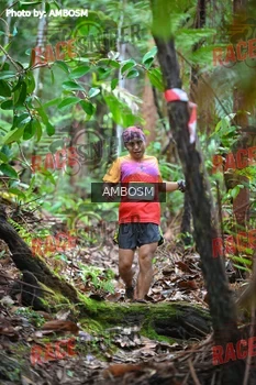 Runner Photo 535195