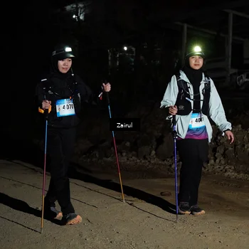 Runner Photo 5352476
