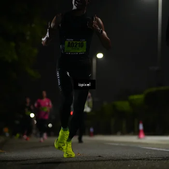 Runner Photo 5353317