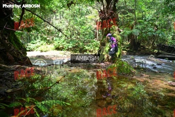 Runner Photo 535363