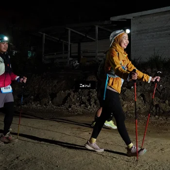 Runner Photo 5353666