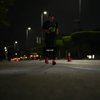 Runner Photo 5353902