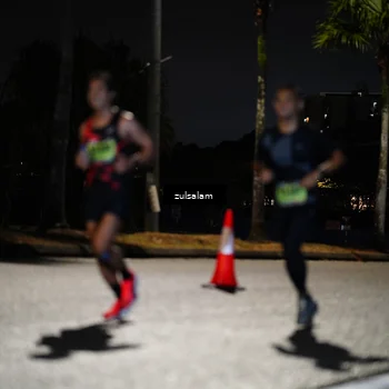 Runner Photo 5354178