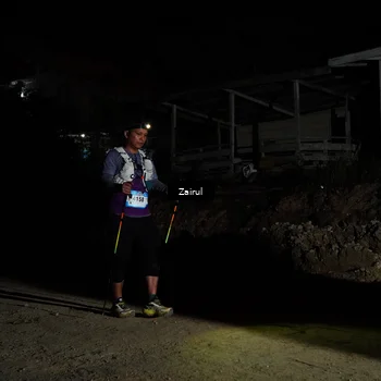 Runner Photo 5354774