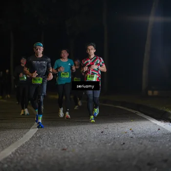 Runner Photo 5354996
