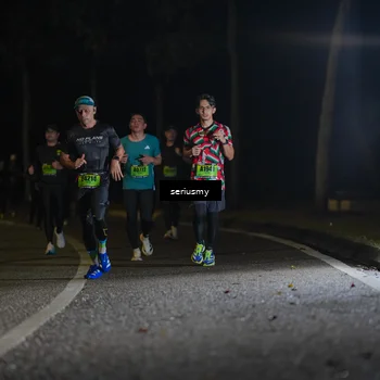 Runner Photo 5355005