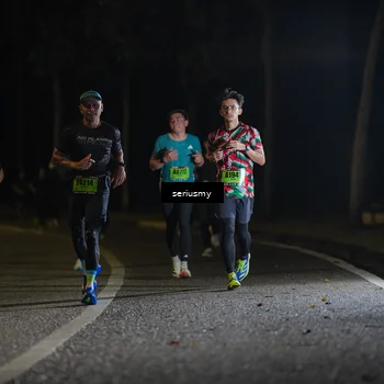 Runner Photo 5355015