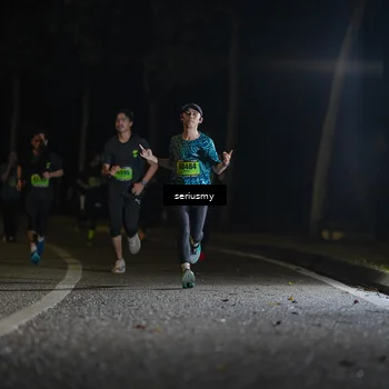 Runner Photo 5355256