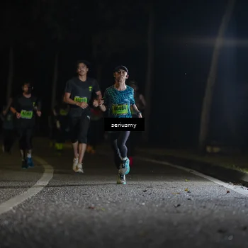 Runner Photo 5355262