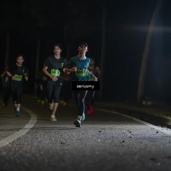 Runner Photo 5355266