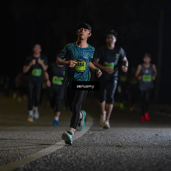 Runner Photo 5355284