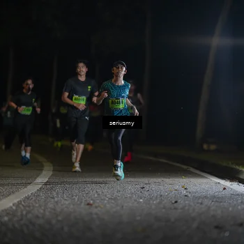 Runner Photo 5355286
