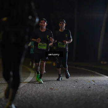 Runner Photo 5355677