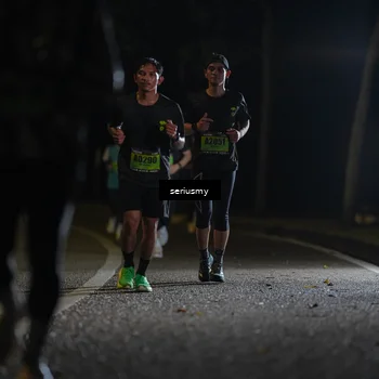 Runner Photo 5355682