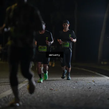 Runner Photo 5355708