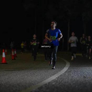 Runner Photo 5355782