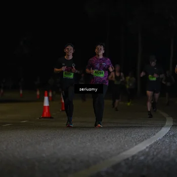 Runner Photo 5355794