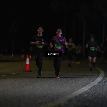 Runner Photo 5355802