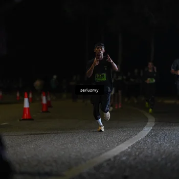 Runner Photo 5355981