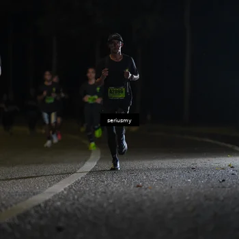 Runner Photo 5356012