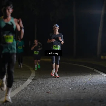 Runner Photo 5356193