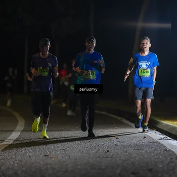 Runner Photo 5356578