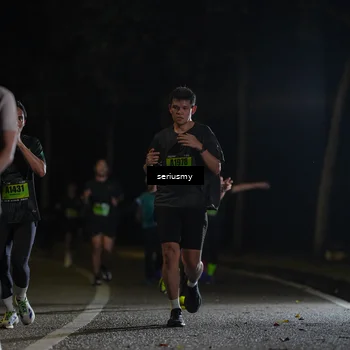 Runner Photo 5356832