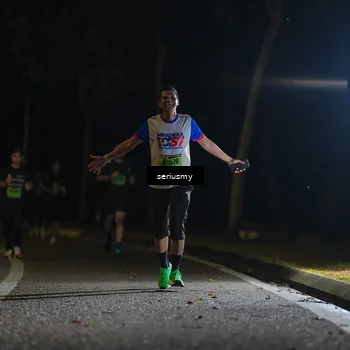 Runner Photo 5356925