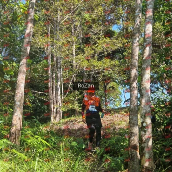 Runner Photo 5358
