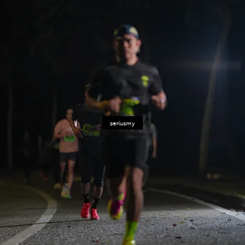 Runner Photo 5358268