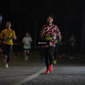 Runner Photo 5358481