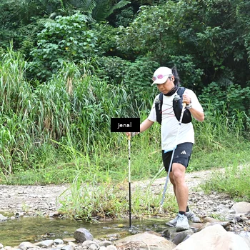 Runner Photo 5358688