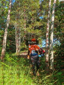 Runner Photo 5360
