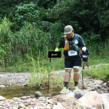 Runner Photo 5361053