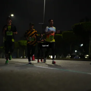 Runner Photo 5362834